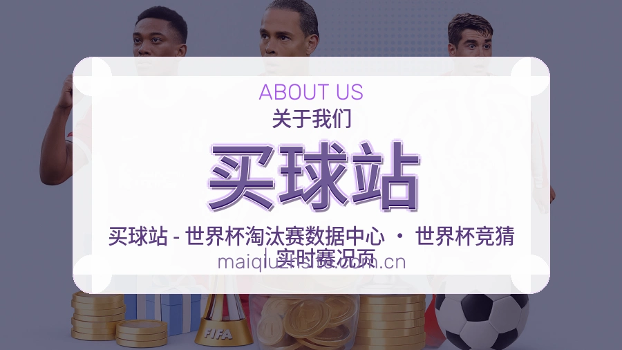 买球站关于我们